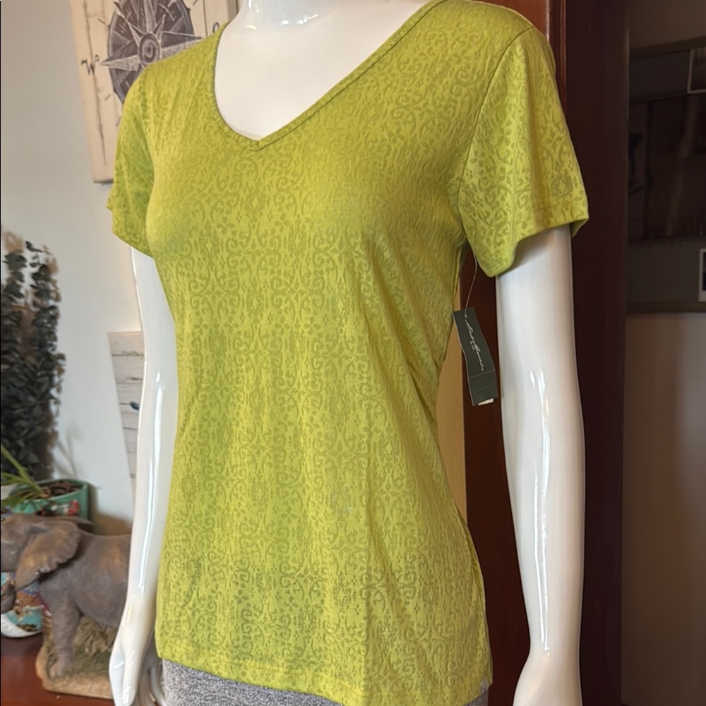 NWT Eddie Bauer size small sheer Green V-Neck Women’s Top